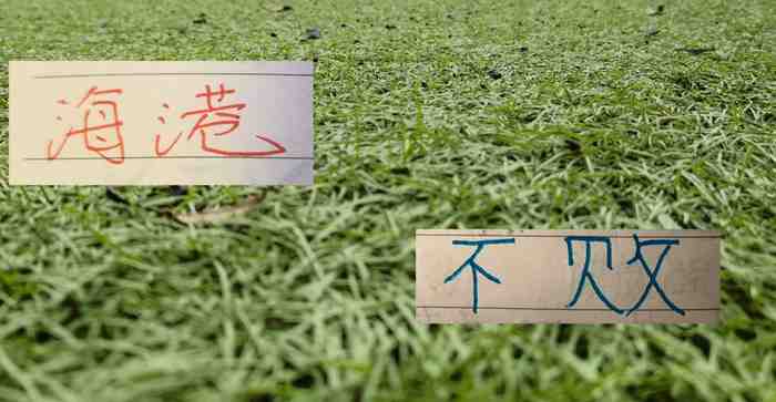 8場不敗的海港！下周末迎戰浙江 還能延續旺盛的勢頭嗎？